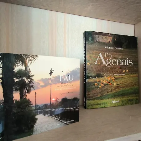 Le Bosquet - Hyper Centre - Parking - Terrasse * Pau