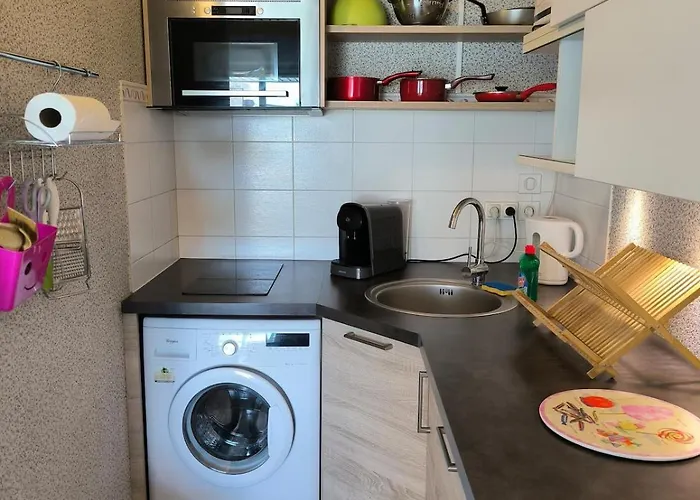 Le Bosquet - Hyper Centre - Parking - Terrasse * Pau