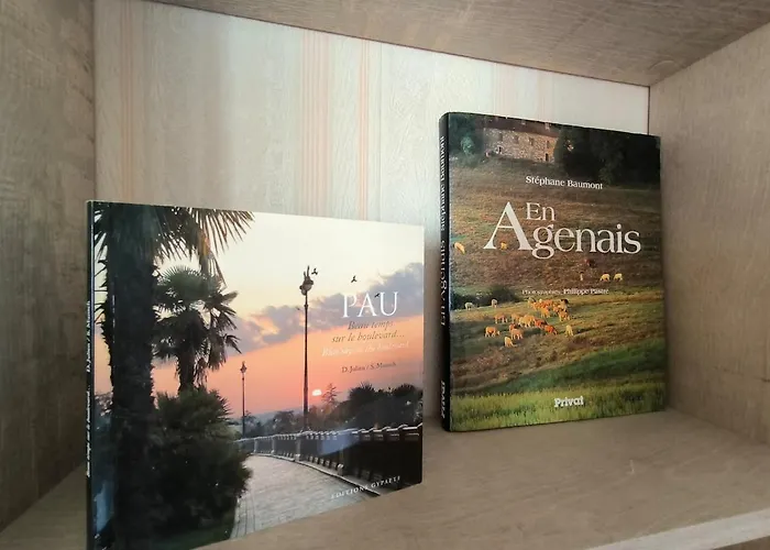 Le Bosquet - Hyper Centre - Parking - Terrasse * Pau