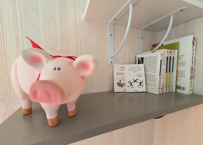 Le Bosquet - Hyper Centre - Parking - Terrasse * Pau